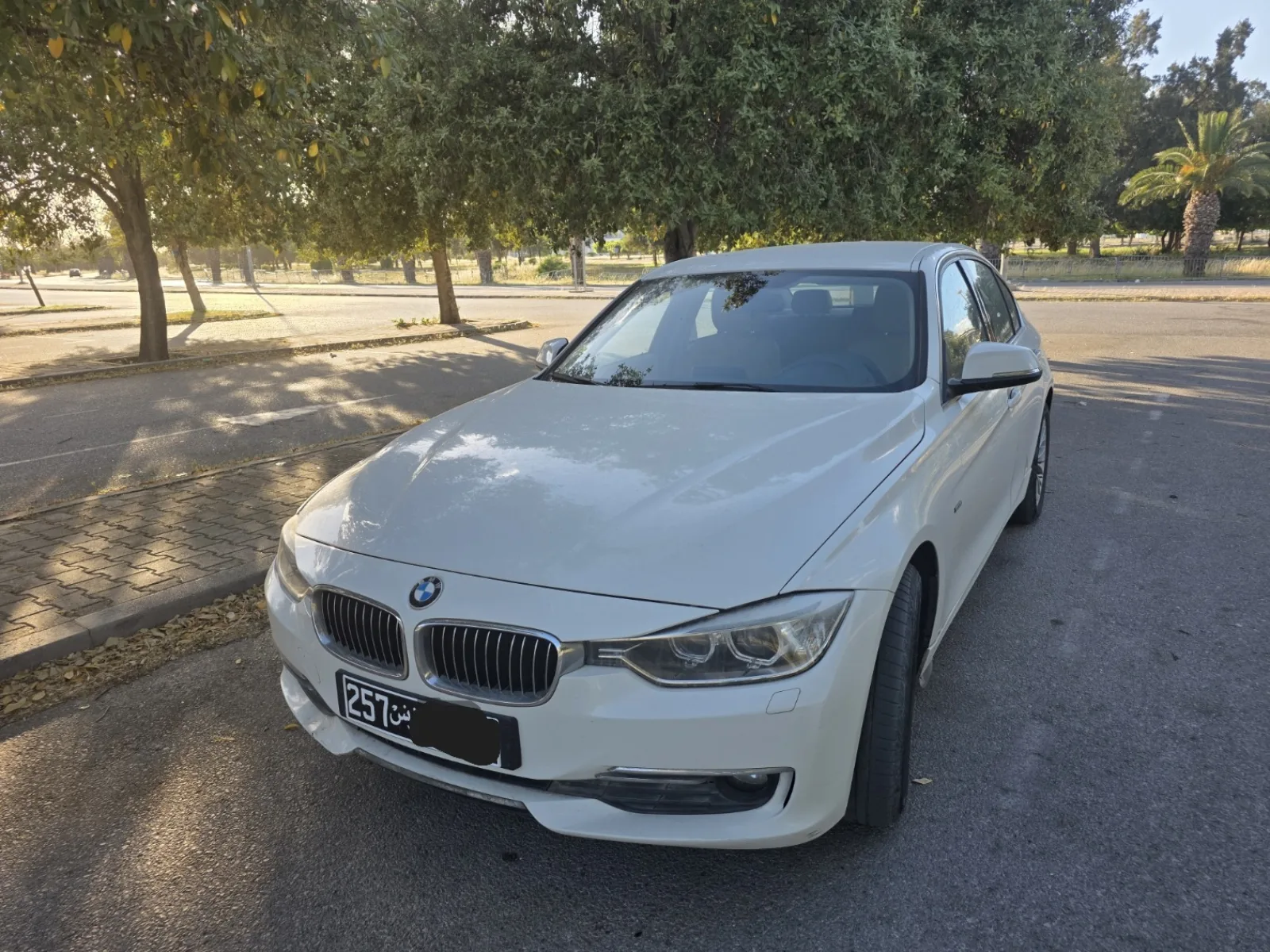 BMW Série 3 Luxury Line 2014