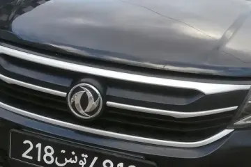 Dongfeng SX3  2020 1