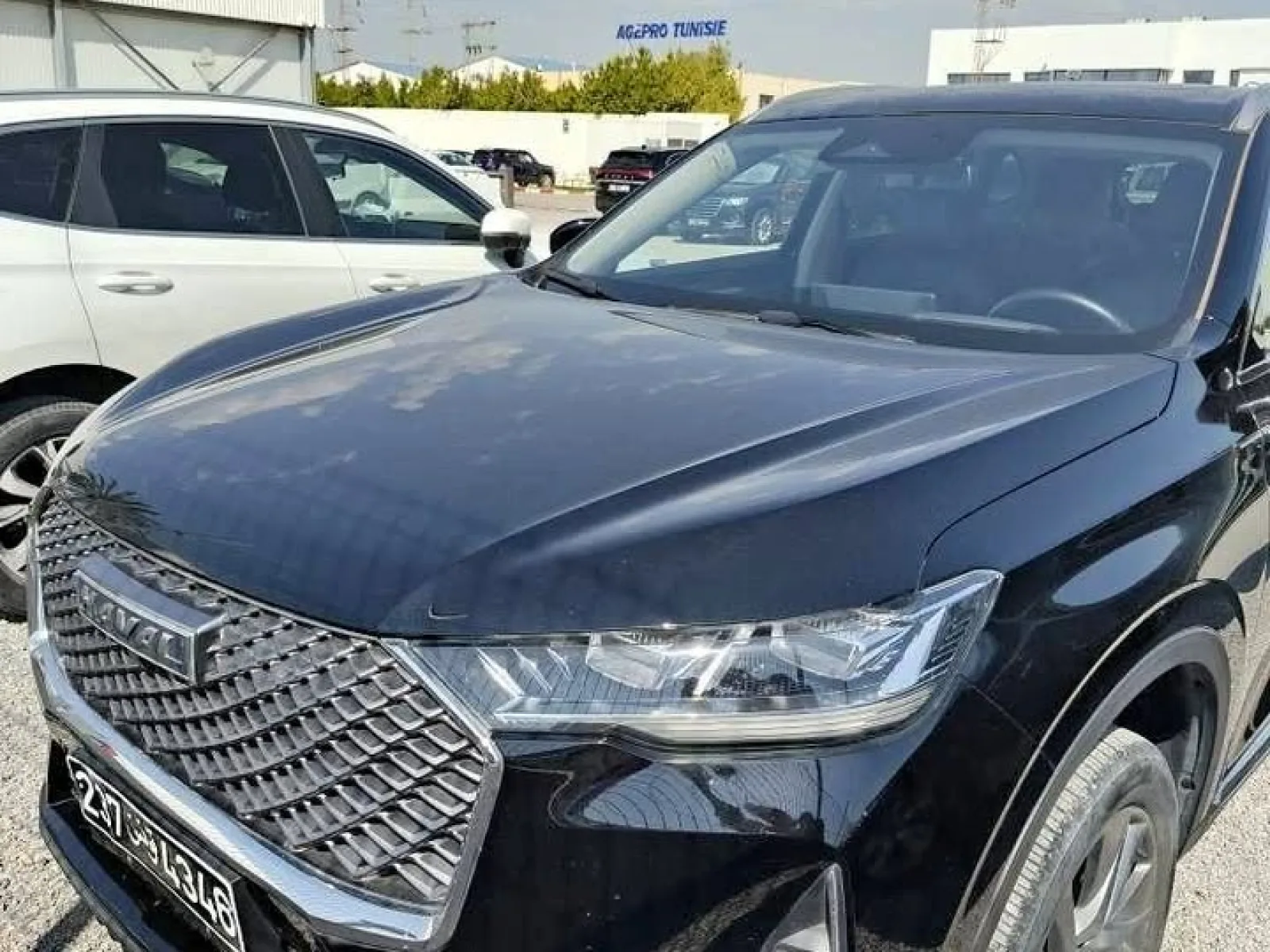 GWM Haval H6  2023