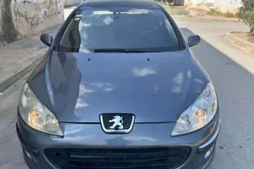 Peugeot 407  2006 1