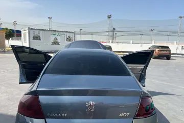 Peugeot 407  2006 5