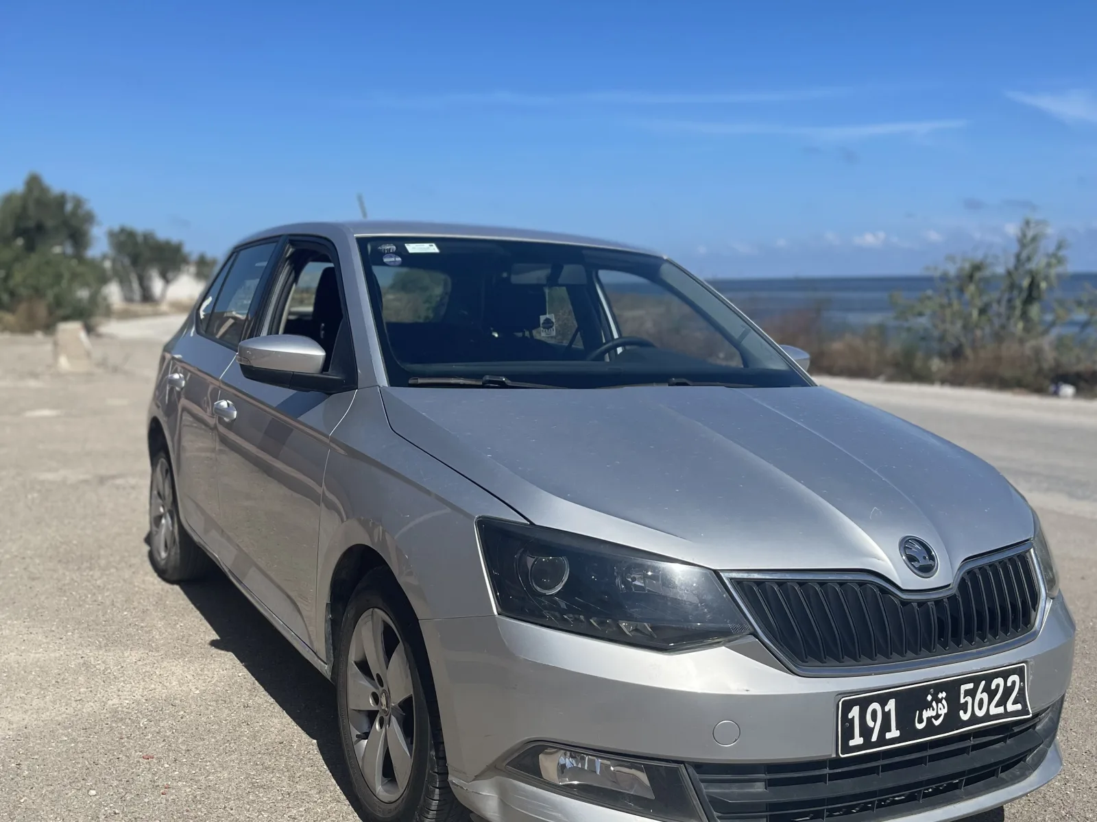 Skoda Fabia  2016